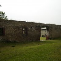 DSC03018